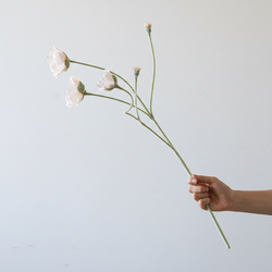 67cm Dried Plum Blossom (Peach Color) One Branch